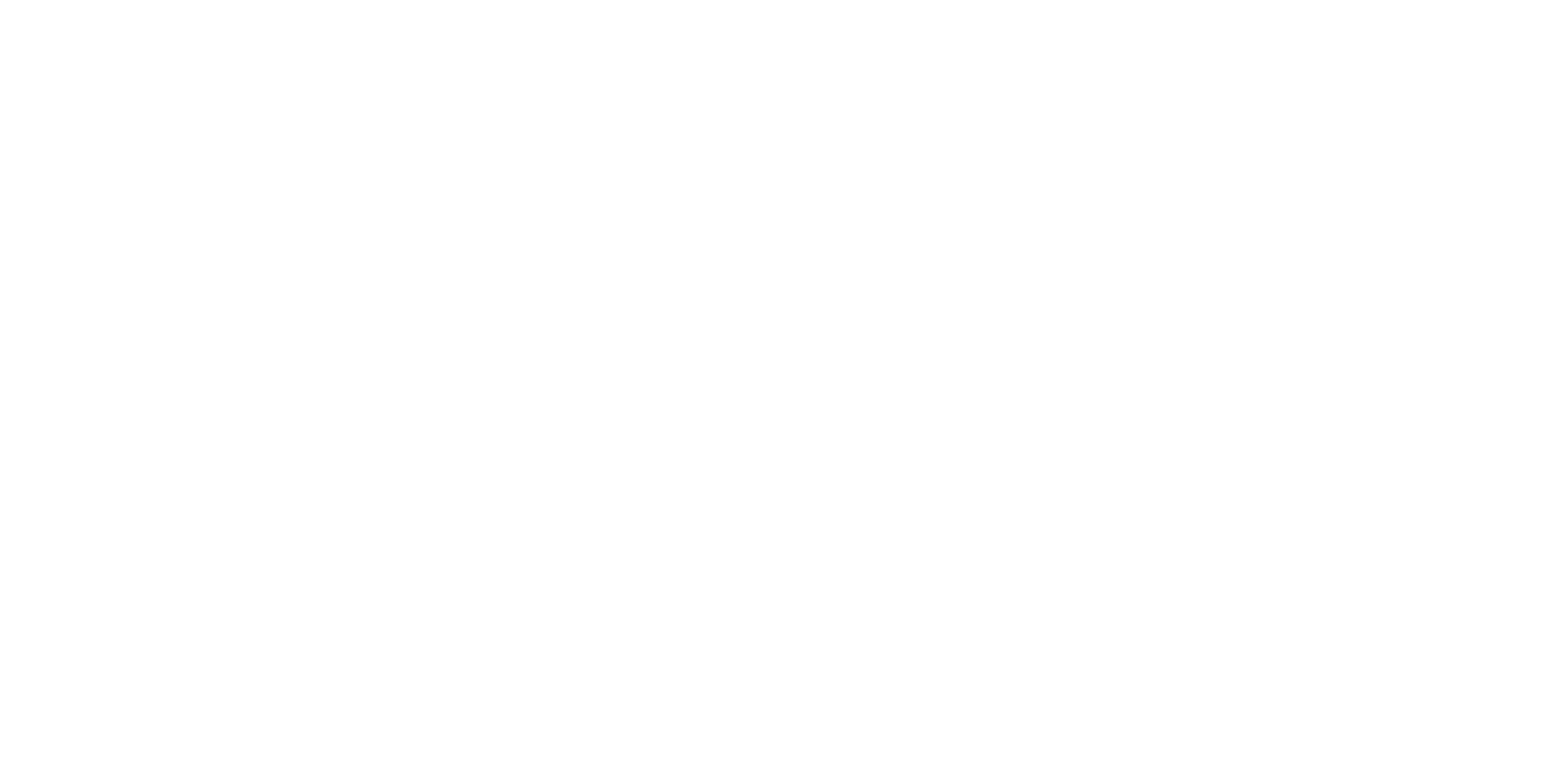 logo upe(blanc)