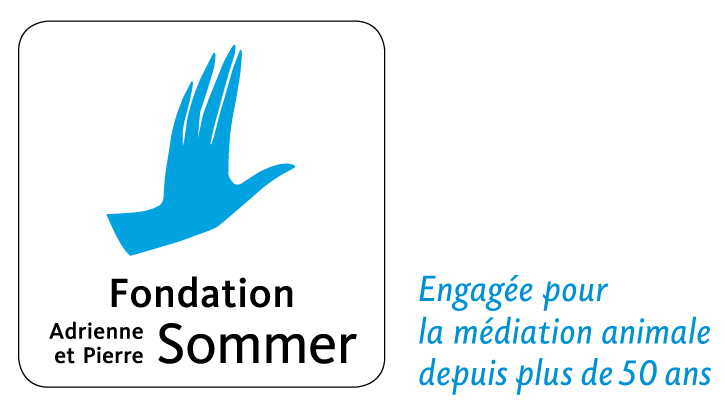 -Fondation-Adrienne-et-Pierre-SOMMER-LOGO-2024-e1717937233842