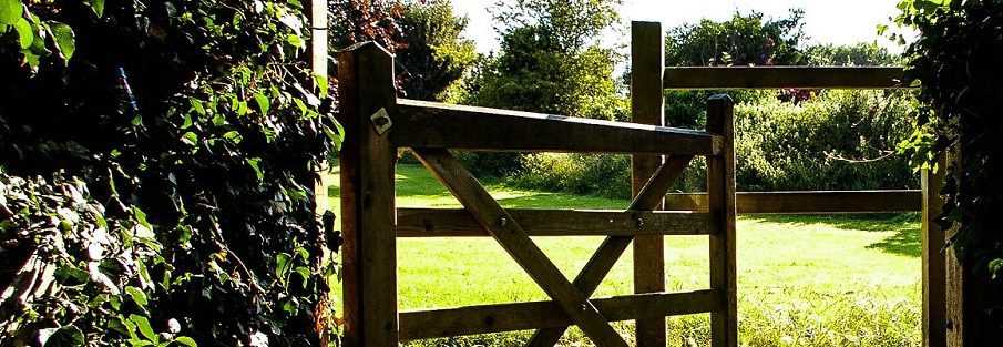 gate1497x313